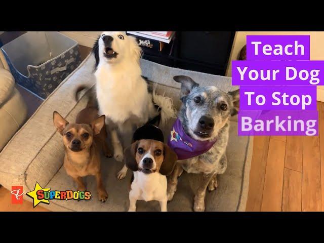 SuperDogs | Teach Your Dog to Stop Barking | Dog Training