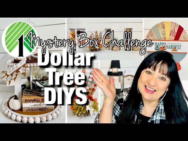  FUN FALL DOLLAR TREE DIYS | MYSTERY BOX CHALLENGE