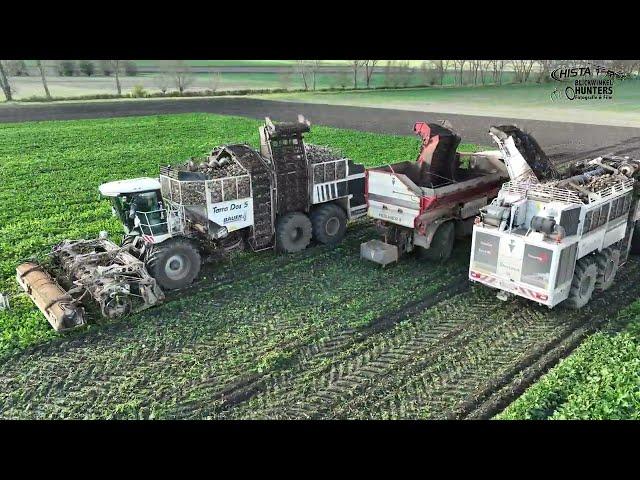 Rübenroden auch im Schnee / Holmer Terra Dos 4&5 in weiß / Bauer Agrarservice