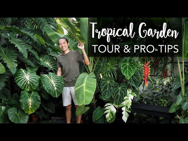 DREAM BIG in a tiny Tropical Garden (280 sqft) + Pro Gardening Tips ft. the legendary Farren Wayne