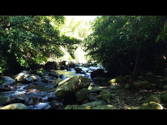 公平橋（金合興圳狗殷勤古道）