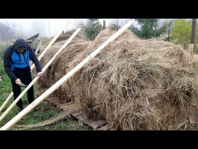 Купили плохое сено, посадили голубику, повесили хрустальную люстру, Вадим шахтёр...