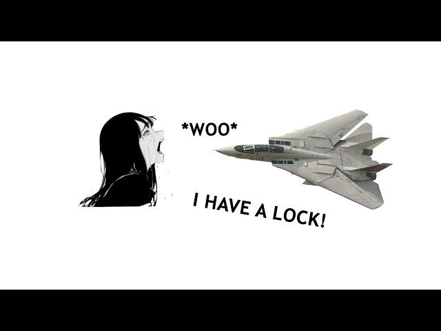 F-14B ASMR