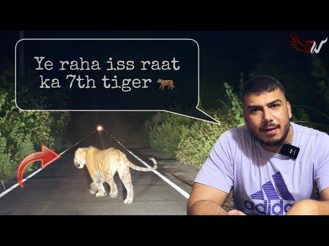 My Close-Up Tiger Encounters  | Real Jungle Night Drive | Deep Verma