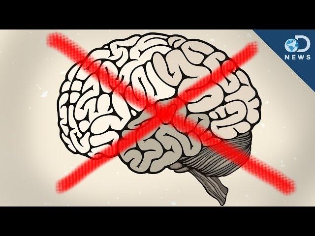 Can You Trust Your Memory?