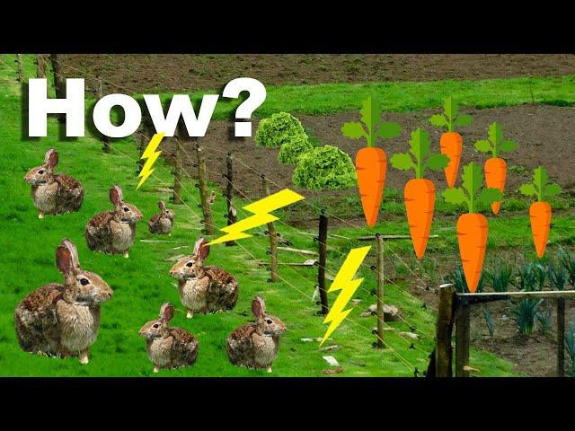 How I Built The ULTIMATE Electric Rabbit Fence | Super Cheap