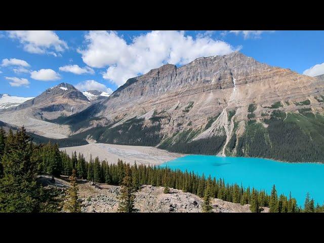 Stunningly Blue Peyto Lake in Banff National Park