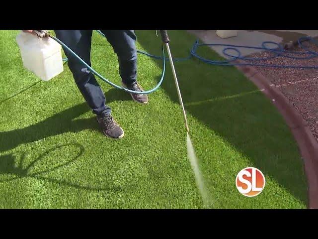 Dirty Turf offers unique cleaning process to eliminate 100% of pet odors