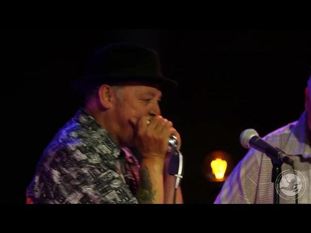 Steve Kozak Band - I Know You're Fine LIVE Ft. Sherman Doucette