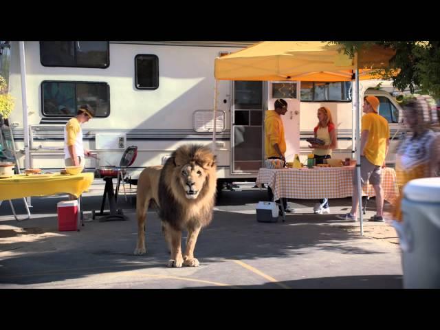 Food Lion commercial