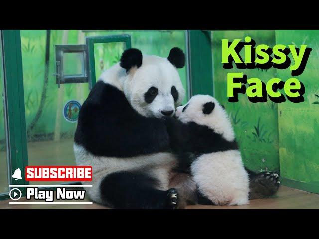 Mei Zhu Teaches You How To Get Your Mom’s Kisses | iPanda