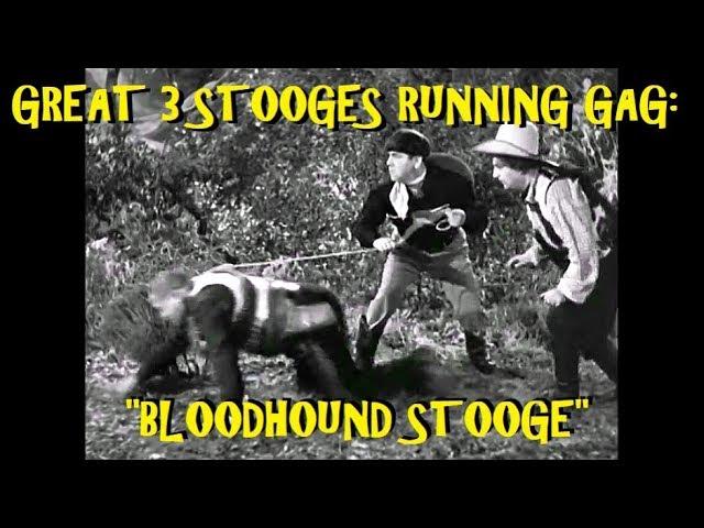 Great 3 Stooges Running Gag: "Bloodhound Stooge"