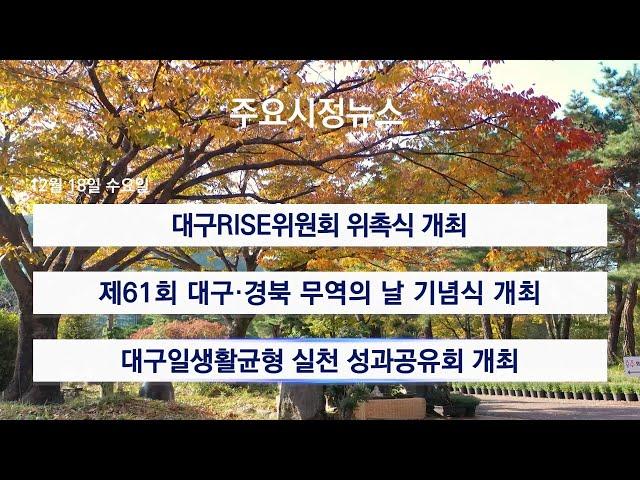 [대구시(시장 홍준표)]241218 대구시정뉴스 2024 - 238호