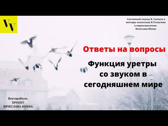 Функция уретры со звуком в сегодняшнем мире. ВектораВсем. Проект Вячеслава Юнева