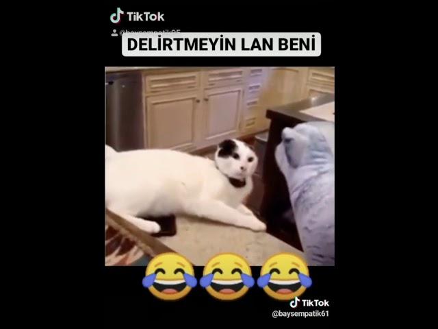 Komik videolar1