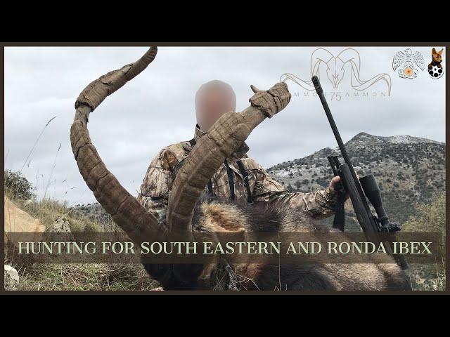 Hunting for South Eastern and Ronda Ibex | Record Breaking Hunter