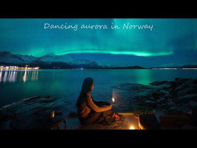 Northern Lights Chase | Norway Vlog | Cozy winter nights | From Tromsø to Lofoten Islands Road Trip