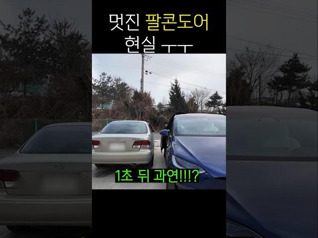 옆차의 운명은.. 테슬라 모델X 팔콘도어 현실