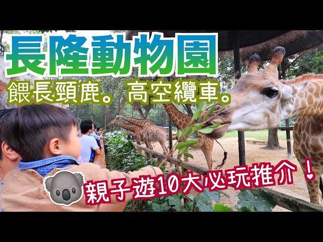 【親子遊2日1夜必玩推介】長隆動物園餵長頸鹿| 噴水恐龍| 三代同堂去長隆 Part 2 • 半職人妻 ［中字］