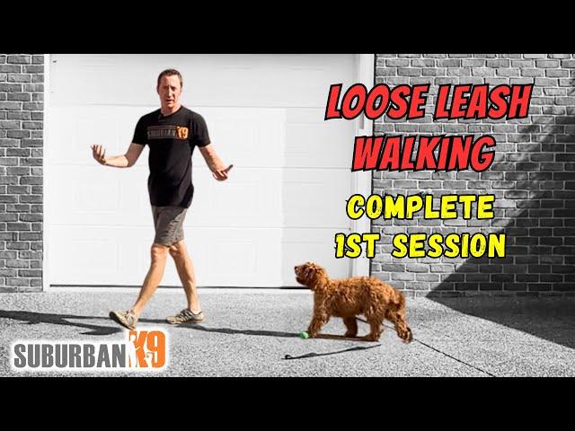 How to Teach Your Puppy Loose Leash Walking!