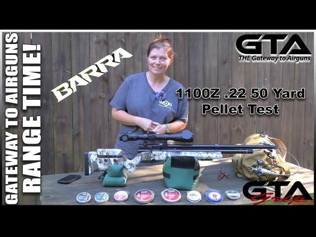 BARRA 1100Z .22 50 YARD PELLET TEST - Gateway to Airguns Range Time