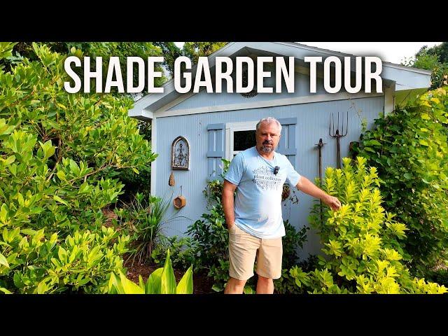 The Dry Shade Garden Tour - p15