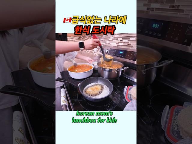급식없는 나라에서 한식 도시락싸기 #도시락 #요리 #lunchbox #koreanfood