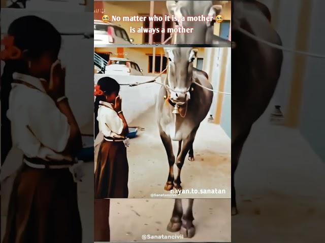 Never forget your religion  | Wait for edit  ‍️ | sanatan dharm power  #shortsfeed #youtubeshort
