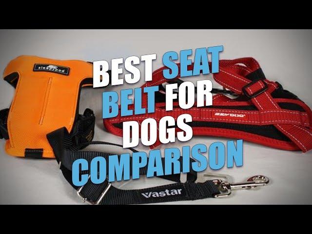 Best Seat Belt for Dogs Comparison