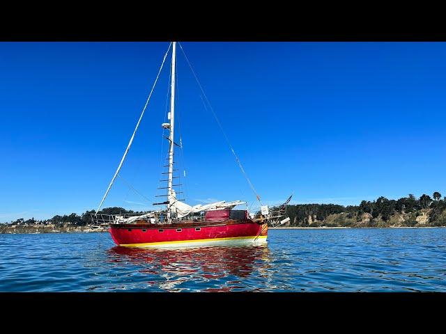 "Sail & Scuba Serenity: Exploring the Depths with Sailboat Reveille!"