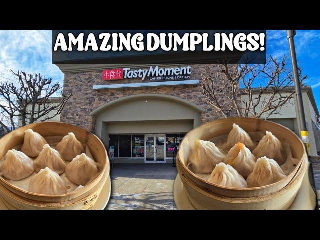 Dumplings Lovers Want the Best? Find Them in Edison NJ at Tasty Moment!