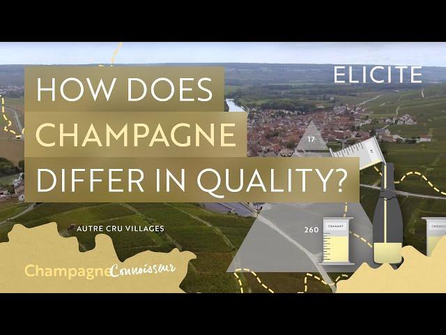 How Does Champagne Differ In Quality?