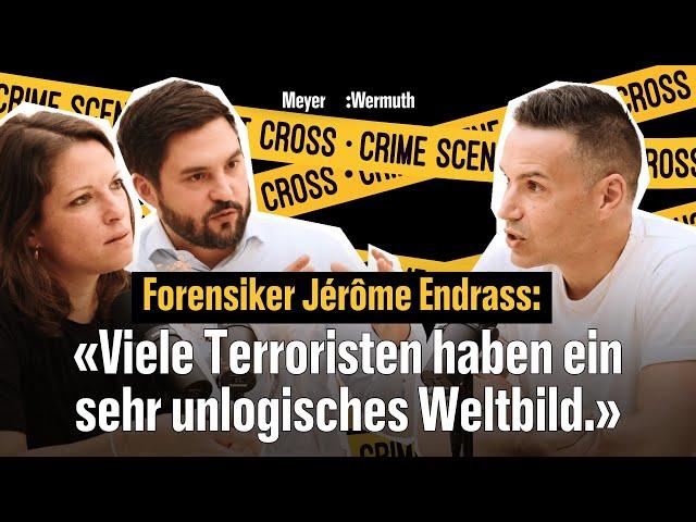 Terrorismus-Prävention, Armee-Zukunft, Parteifinanzen | Meyer:Wermuth