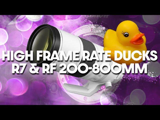 HANDHELD RF 200-800mm & R7 VIDEO High Frame Rate