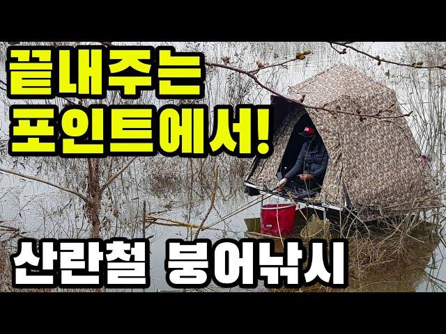 (SUB) 끝내주는 포인트에서!  산란철 붕어낚시 내림낚시 carp fishing へらぶな