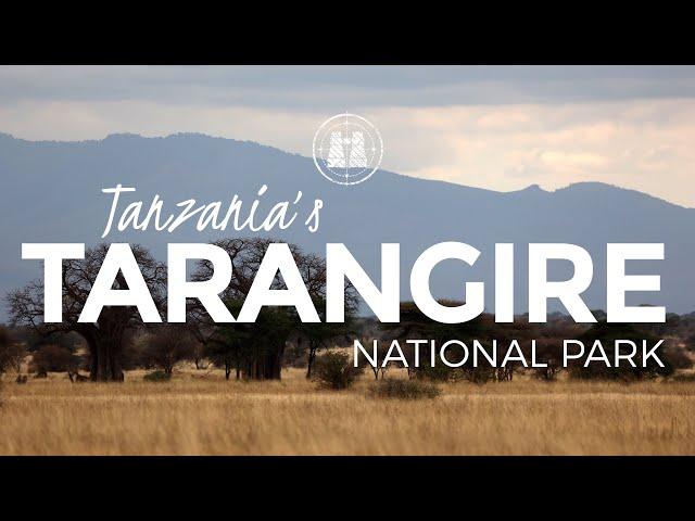 Tarangire National Park, Tanzania /2023