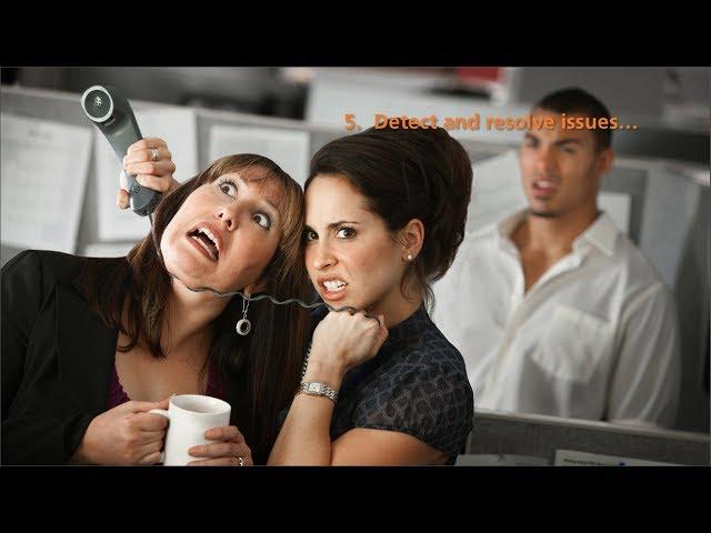 The Role of The Project Manager