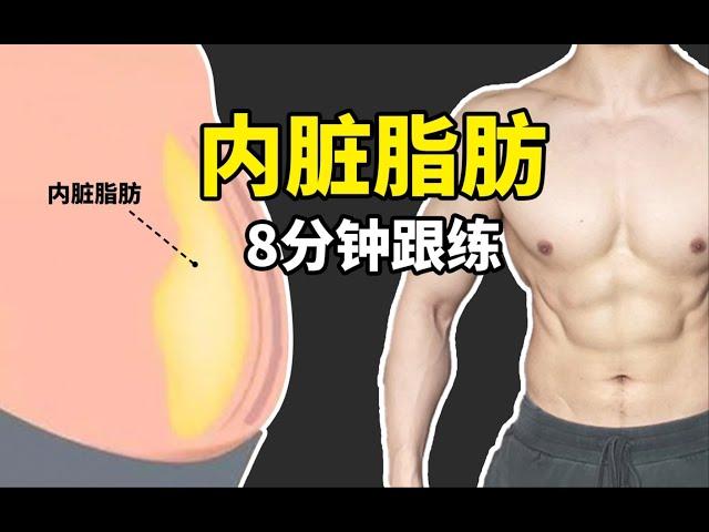 肚子大赘肉多   快速消除内脏脂肪   8分钟跟练