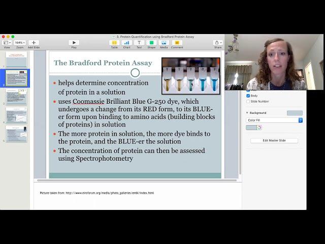 Week 3 Lab- Protein Quantification