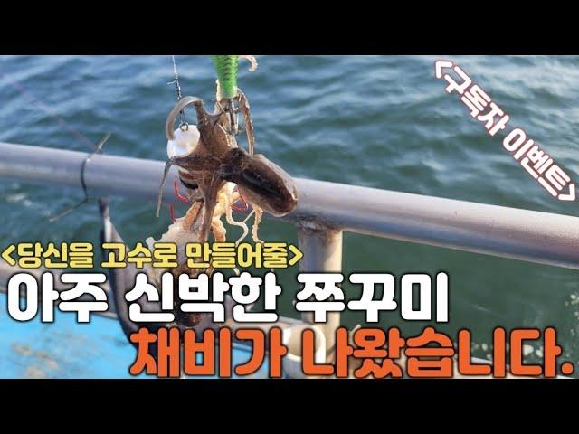 지금껏 제가써볼 채비중에 이채비가 단연 1등 입니다. 그냥 드릴테니 한번 써보시고 후기좀 알려주세요!! (쭈꾸미 갑오징어채비) *구독자이벤트*