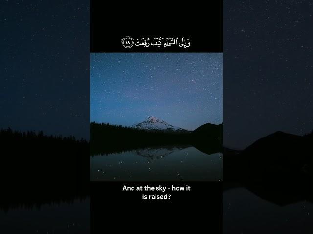The Most Beautiful Quran Recitation 