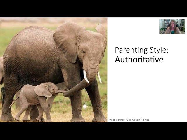 Authoritarian vs. Authoritative? 4 Parenting Styles Explained (Funny Examples!)- ASWB Exam Prep