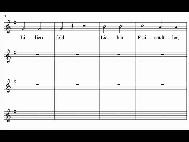 Mozart - Lieber Freistadtler, lieber Gaulimauli