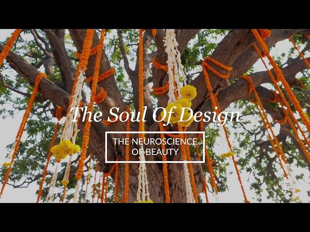 The Soul of Design and the Neuroscience of Beauty