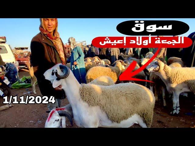 اليوم من سوق الجمعة أولاد إعيش إقليم بني ملال 1/11/2024 مع تمن حولي و النعجة 