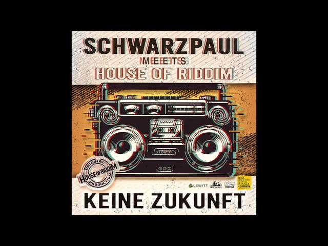 Schwarzpaul meets House of Riddim "Keine Zukunft"