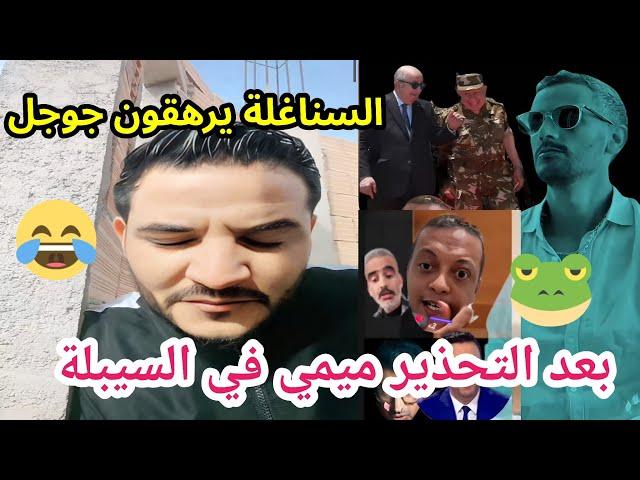 بوسماحة  و كادير  محرك جوجل هبلوه السناغلة على أمود، ميمي أصبح في السيبلة