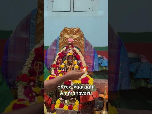 Mangalarathi Shri Vaaraahi Ammanavaru, Doddahonne Sringeri. #varahi #devine #sapthamathrika #shorts