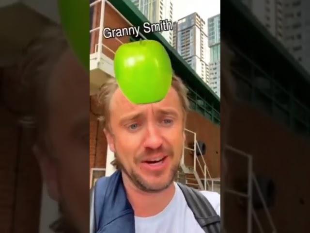 Tom Felton and the apple filter || NOT MINE || #dracomalfoy #drapple #tomfelton #harrypotter