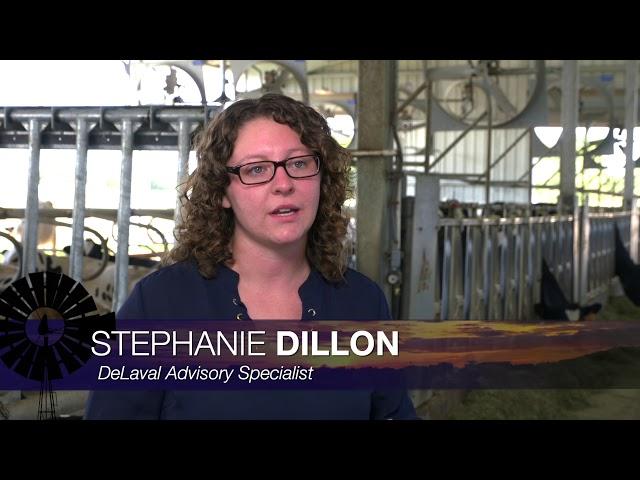 Technology in Dairy (10/17/20)